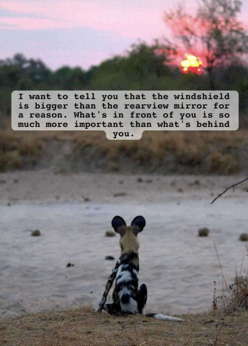 James Williams (@wilddog_za) on Twitter photo 