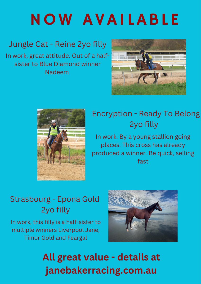 Special offer for Warrnambool May race goers. 20% off purchase price in any of our 3 two-year olds. Make an appointment to view them or buy via the website quoting #Bool2024 

janebakerracing.com.au/horse-available