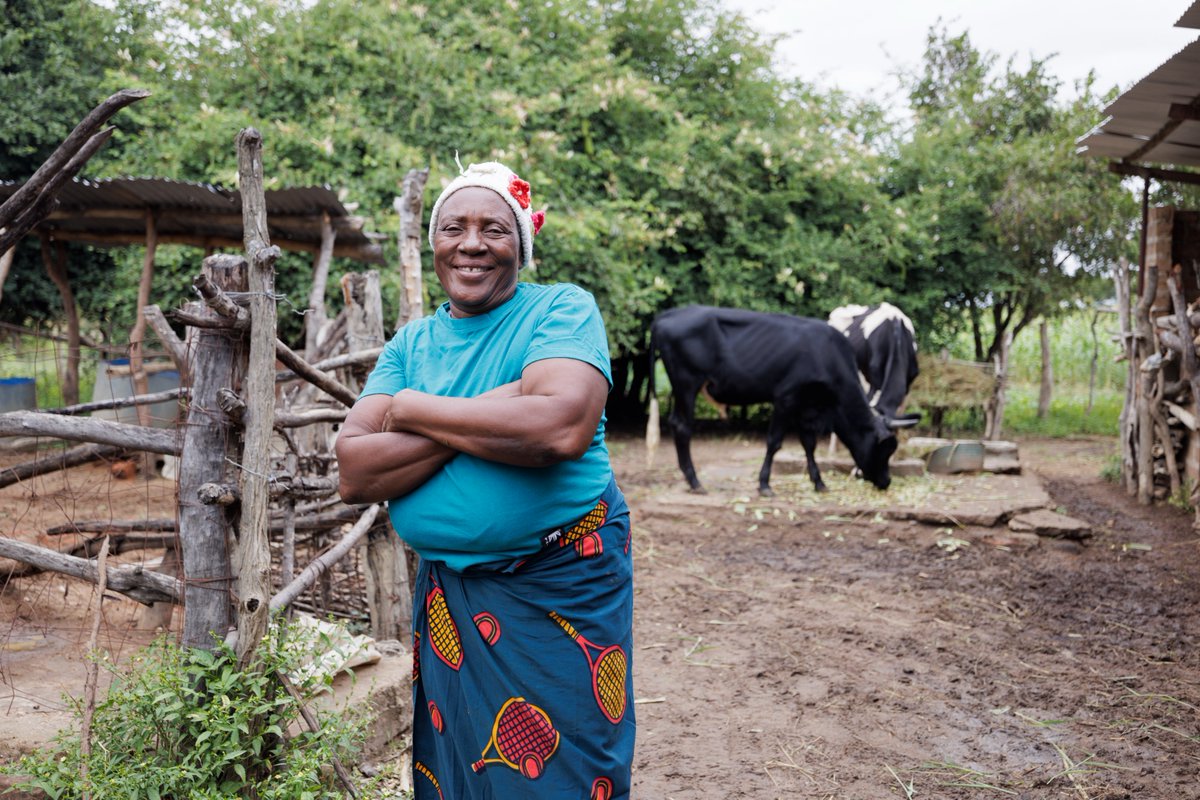 Meet Faless, a Zambian woman who went from selling fish in Lusaka to a thriving farmer!  Her journey is a testament to the power of the @ESLIP_Zambia program in #Zambia.  #InvestInRuralPeople #ClimateAction #GenderEmpowerment