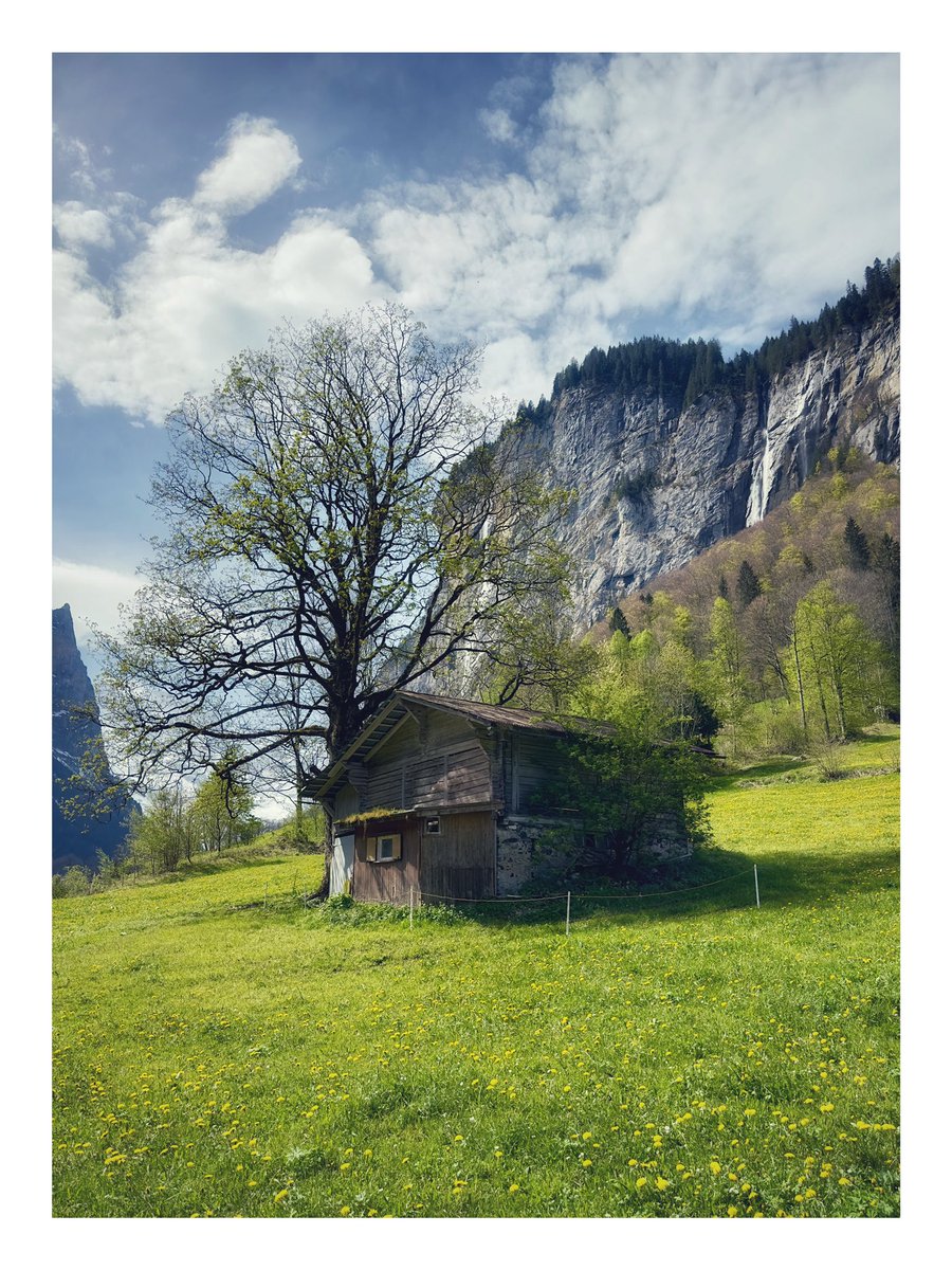 Good Morning - a few images from yesterday’s walk through Lauterbrunnen  #travelphotography #treeclub 🇨🇭