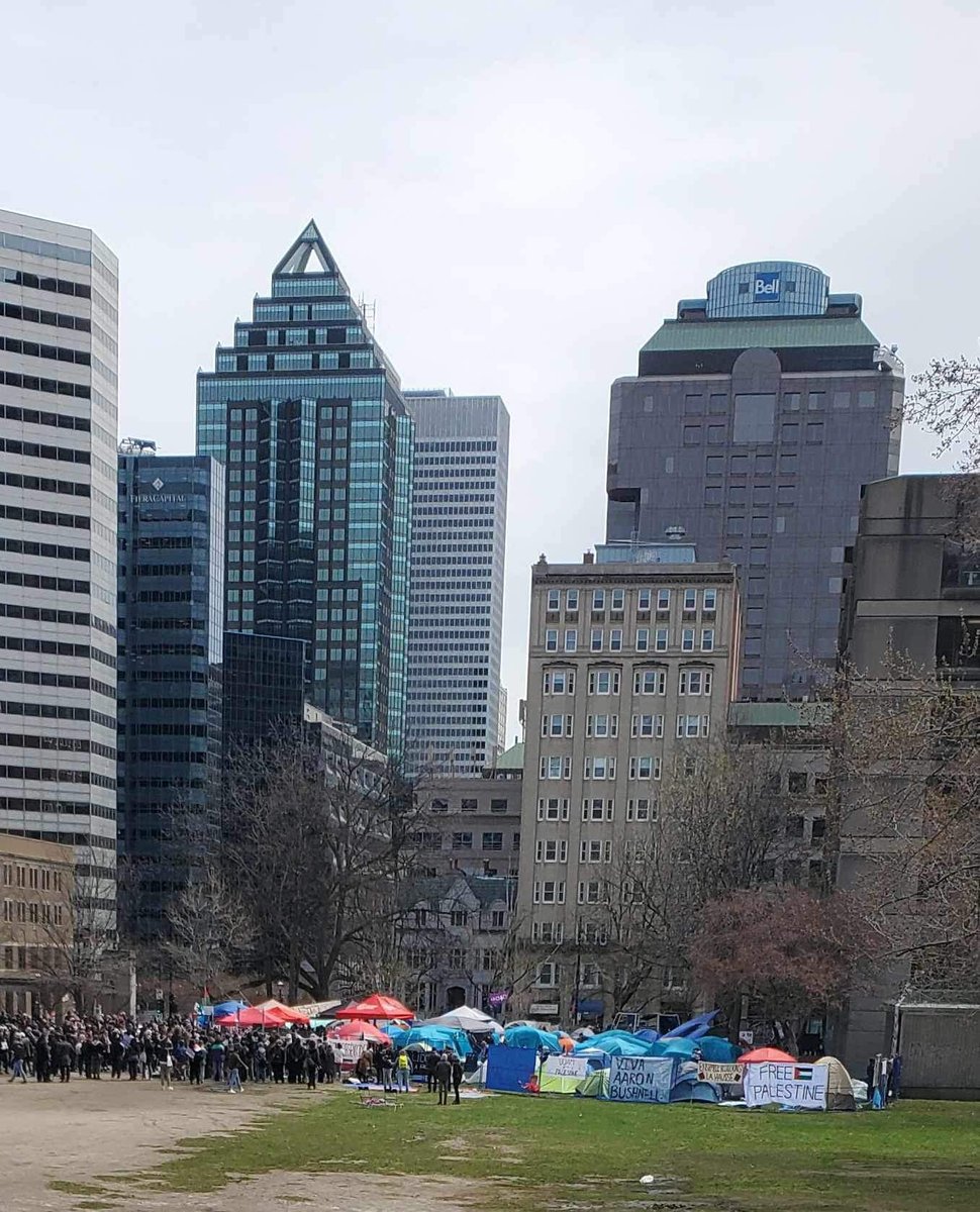 At McGill University in Montreal, human rights activists have established this camp in solidarity with the Palestinian people. #gaza #genocide #palestine #montreal #qcpoli