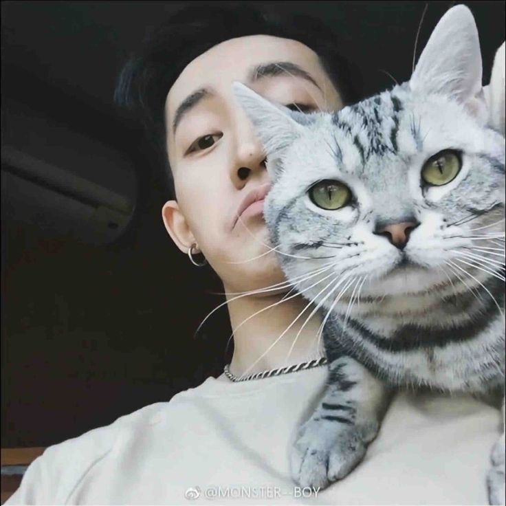 Cat need more limelight..
They are both so cute..😻

#dengwei
