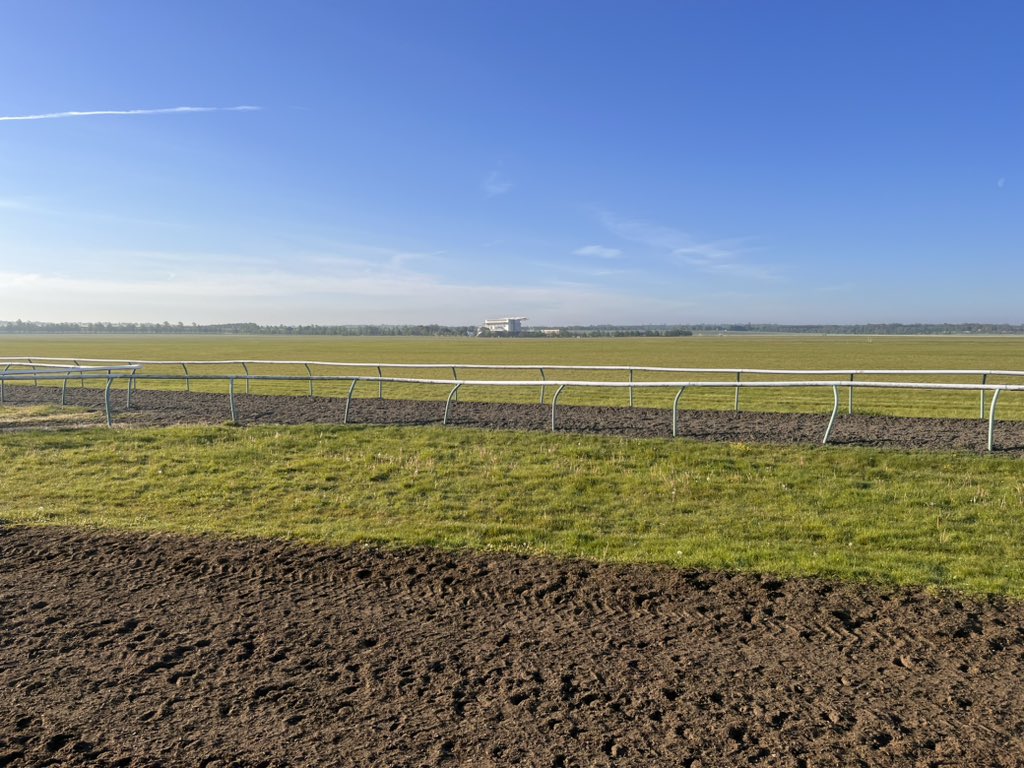 A lovely morning here at Newmarket 🏇