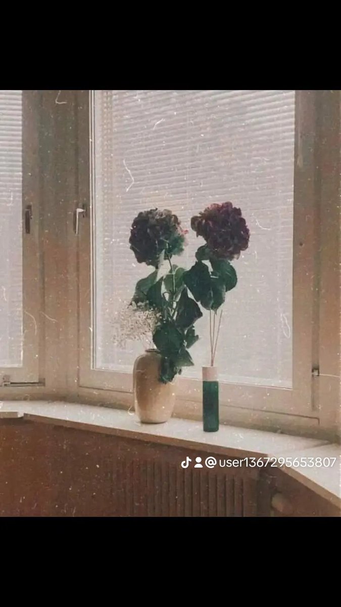 اريد بنيه من الديوانيه او النجف بيت فارغ