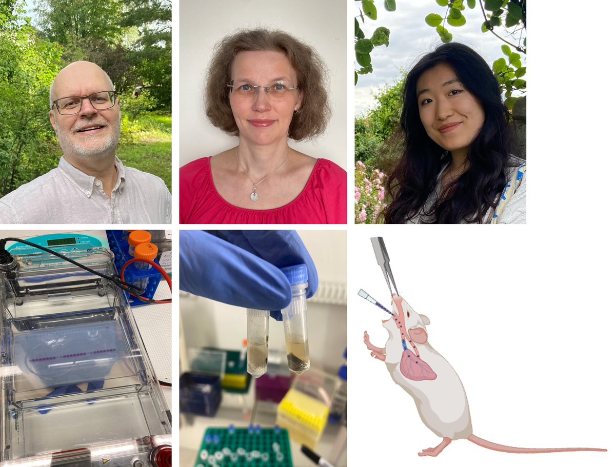 🥳Today we celebrate our @INQUIRE_EU partners from the Human Microbiome Research (HUMI) group @helsinkiuni (see also: helsinki.fi/en/researchgro…)

👉inquire-he.eu/2024/04/22/par…

#IAQ #health #toxicity #DNA #microbiome