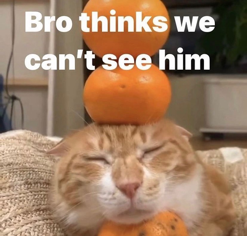 wym? all i see are oranges