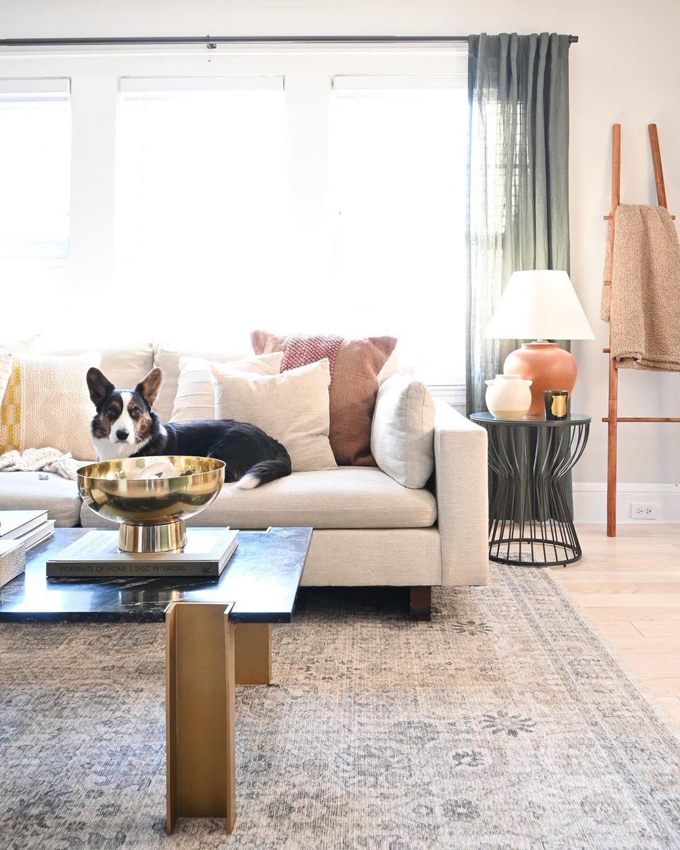 Capture the cozy moment when the puppy stays on the couch.✨

📸:@tylerpo.interiors

#interiordecor #homedesign #livingroomdecor #livingroomdesign
