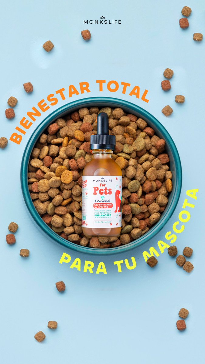 BienestarConCBD's tweet photo. Los gatitos llegan a estresarse con ruidos fuertes, con la presencia de personas o animales extraños, o con otros estímulos que los ponen alerta. Para esos casos es recomendable ayudarles a relajarse y tener una buena calidad de vida. Nuestro aceite o nuestros premios son ideales https://t.co/16AtLPV0aW