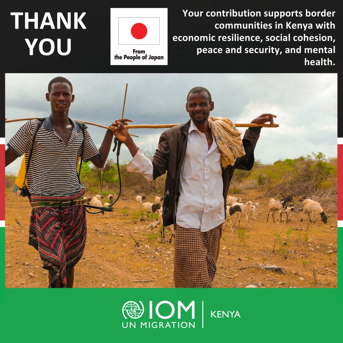 IOM #Kenya is supporting border communities in 🇰🇪 affected by insecurity & climate displacement, with peace building initiatives, livelihoods & mental health benefitting over 2⃣0⃣0⃣0⃣ people, thanks to the new partnership with the Government of Japan 🇯🇵  @MofaJapan_en