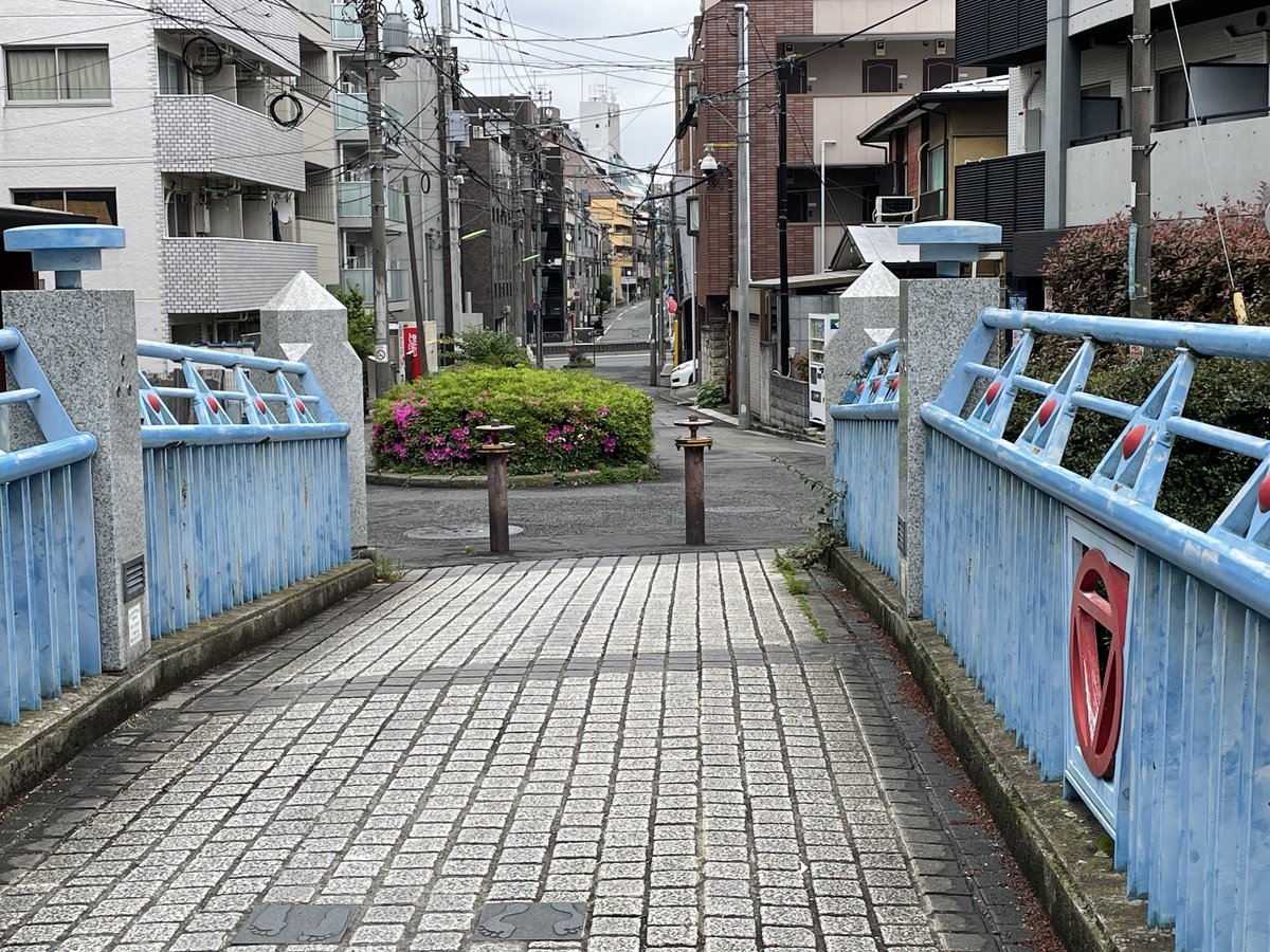 また来てもいい？
ゆずり橋朝帰り☀️
やったー❣️って喜んでますけど、あとで地球の裏側まで落ち込みますから👻
残念！
こっち向いてよ向井くん🧳