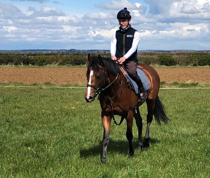Our @SimonWhitaker4 trained VARIETY ISLAND runs in the 5.10 @CatterickRaces & @phillip_dennis takes the ride.

Good Luck To All Connections🏇🏇🏇🤞🤞🤞

#fingerscrossed @RSAsyndicates @GParkRacing #racehorseownership #syndicates #HorseRacing #sports