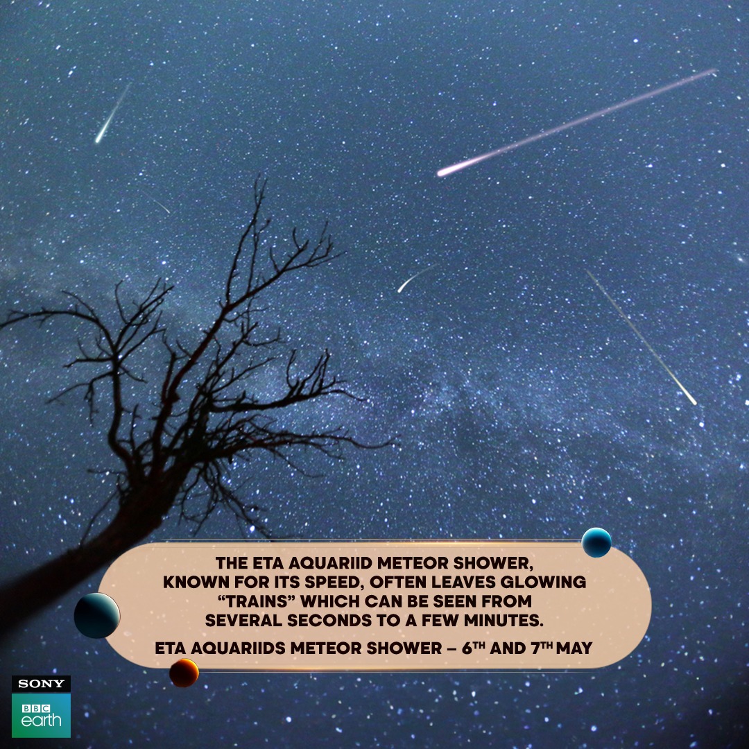 Eta Aquariids are associated with Halley's Comet. During its peak, the meteor shower can produce up to 60 meteors per hour, resulting in an incredibly captivating experience.​

#SonyBBCEarth #FeelAlive #Nature #Wildlife #CosmicConnection  ​
#EtaAquariidMeteorShower #Meteor