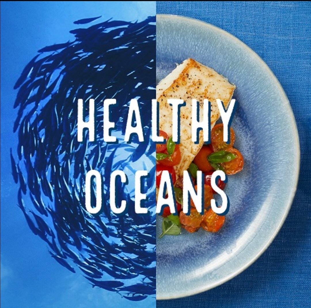 'Dive into the beauty of our oceans with @HealthyOceanBSC 🌊 Let's protect and preserve our marine ecosystems together! 💙 #HealthyOcean #HLO #Clean2Earn #Defi #CryptoGems #Sustainability'