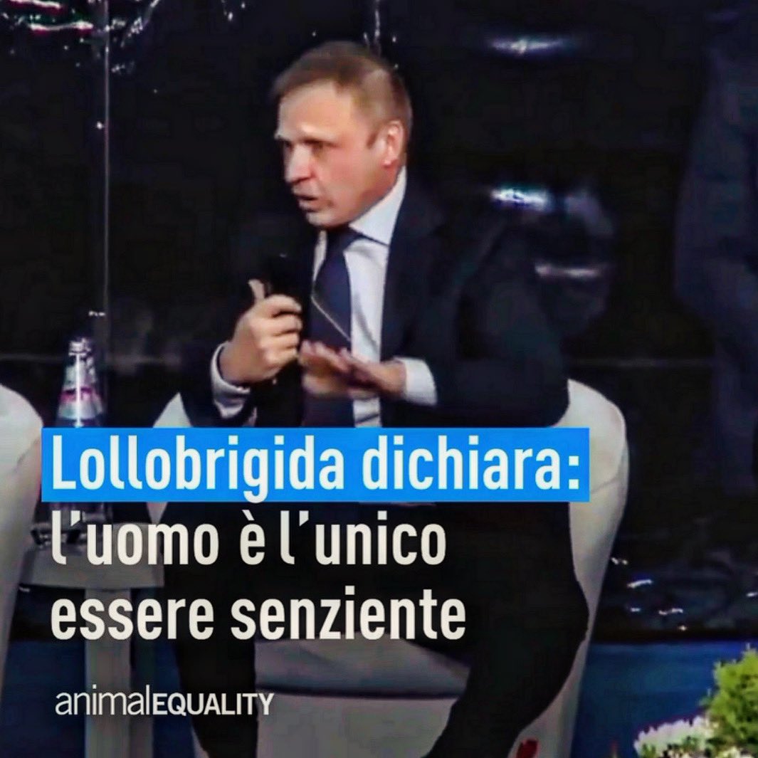 Questa frase pronunciata da @FrancescoLollo1 rappresenta un punto di svolta nella sua battaglia in difesa dei produttori di carne. Ed è un segnale di debolezza. Ha capito che il tema “benessere animale” negli allevamenti intensivi inizia a essere scarsamente credibile , assiste…