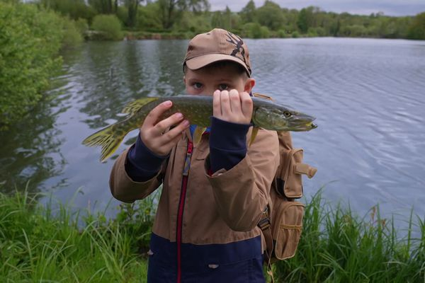 'On essaie de préserver la nature' : la saison de la pêche au brochet revient, et avec elle, le débat sur la pêche au vif france3-regions.francetvinfo.fr/hauts-de-franc…