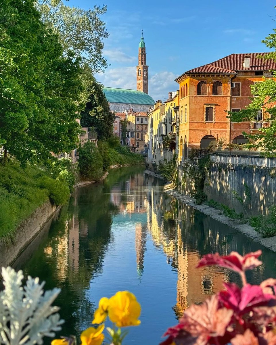 La primavera è uscita dai giardini e dai parchi cittadini e ha travolto le strade, le piazze e i palazzi delle città d’arte. Camminare per #Vicenza in questa stagione è una gioia per la vista e per l’olfatto! Buon #1maggio! 💐 tinyurl.com/2rum29r2 #VisitVeneto