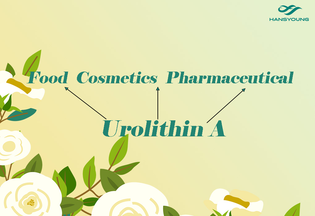 #UrolithinA is used in the fields of #food, #cosmetics, and #pharmaceuticals.
Explore More：hansyoung.hansytech.com
info@hansytech.com
#AntiInflammatory #Antioxidant #AntiCancer #Antioxidant #Hansyoung #VITAMIN