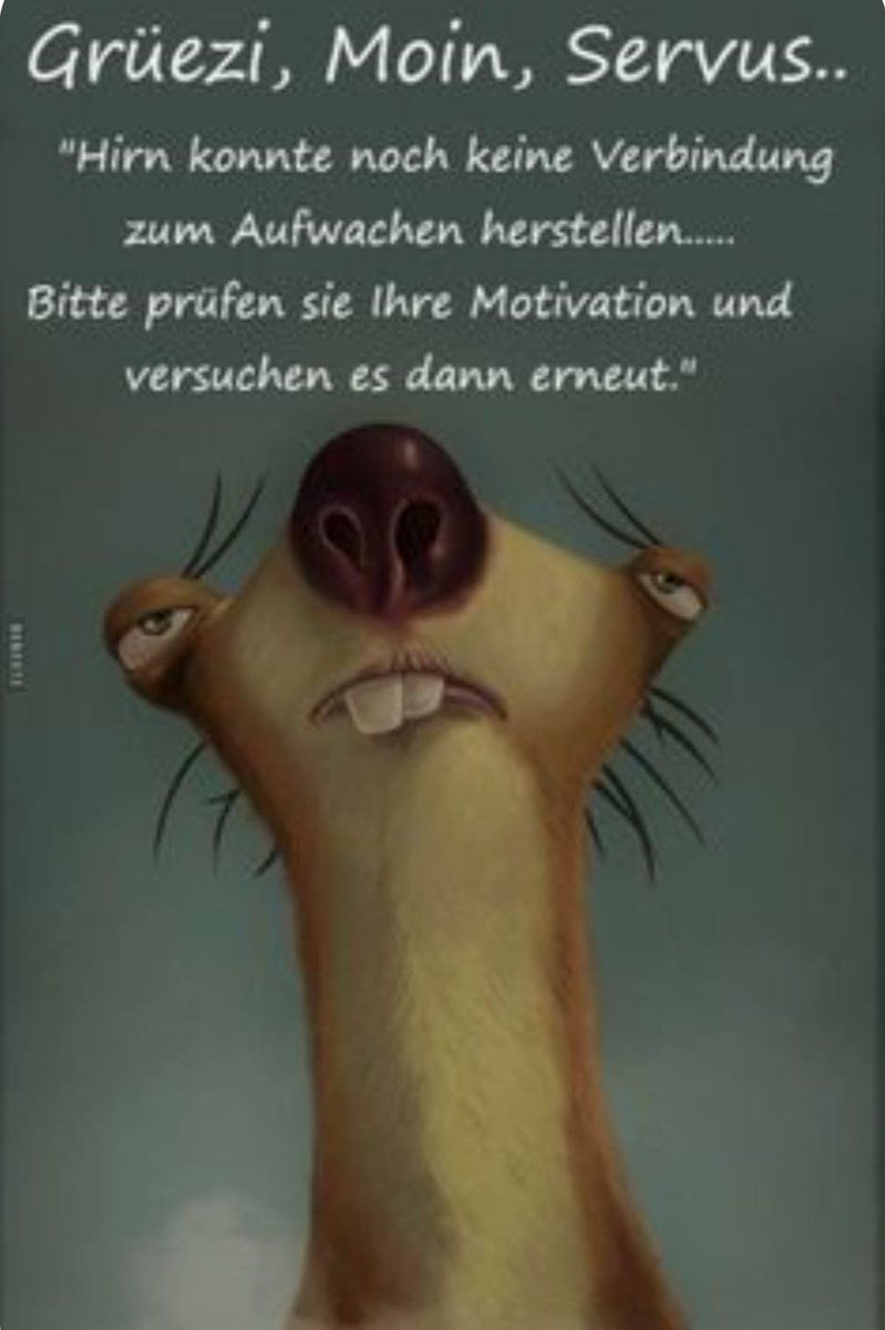 Moin ☕️☕️☕️☕️☕️
