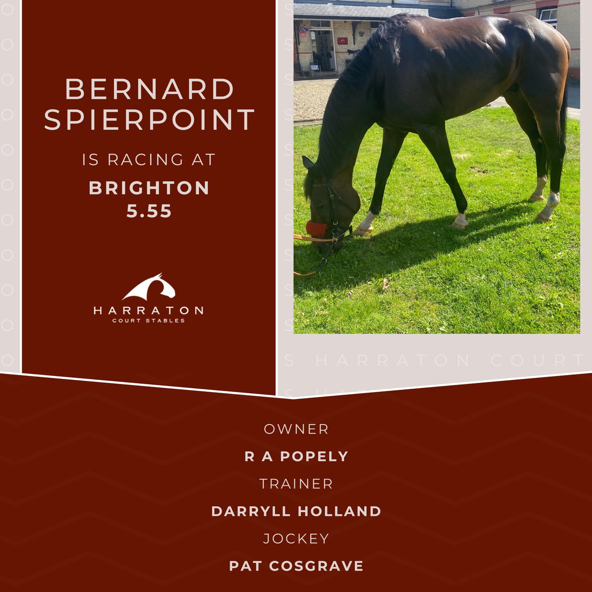💫Bernard Spierpoint is ready for Brighton 5.55 O: R A Popely T: #DarryllHolland J: @patcosgrave Good luck!🍀🤞
