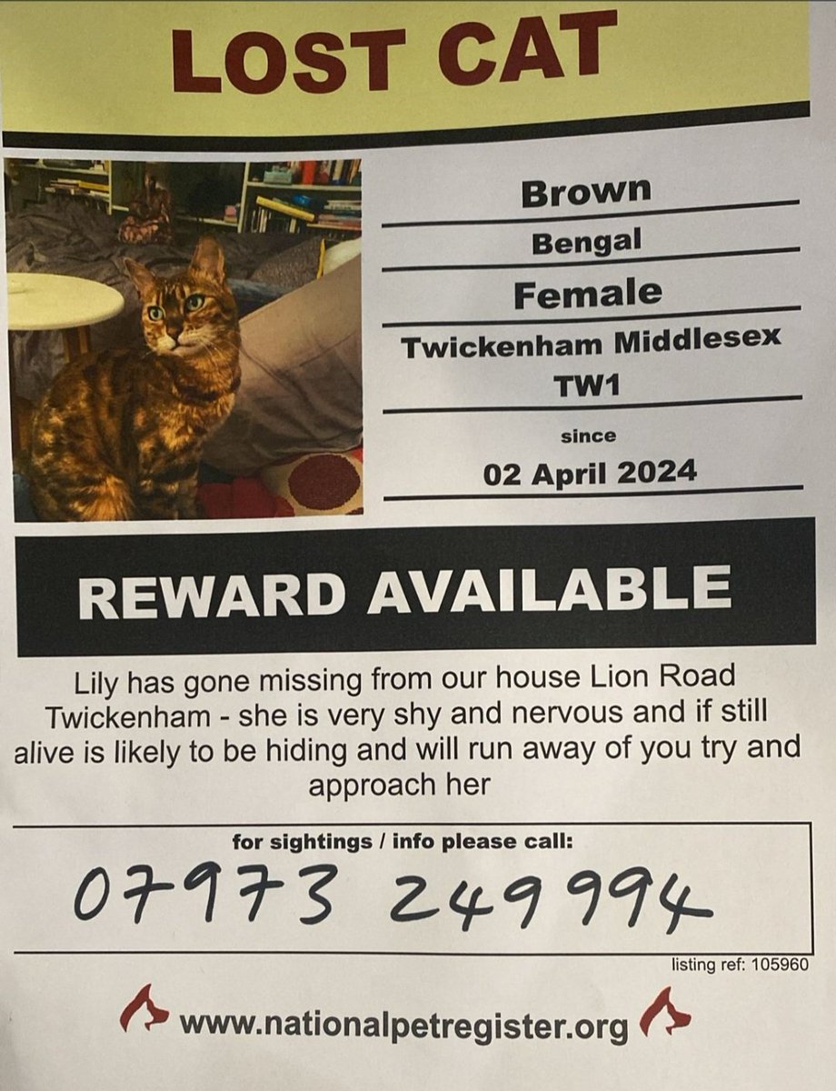 Possible sightings of missing brown Bengal cat around Orford Gardens / Tower Rd area. Please try to get a photo if you see her @SHResidents @TwickTribune @TwickenhamNub @FOTG2014 @twickerati