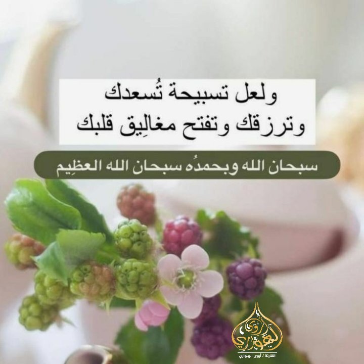 سبحان الله وبحمده سبحان الله العظيم 🌸🌷

#القارئة_أروي_الهواري | #القارئة | #أروي_الهواري | #القرآن_الكريم | #quran_kareem |