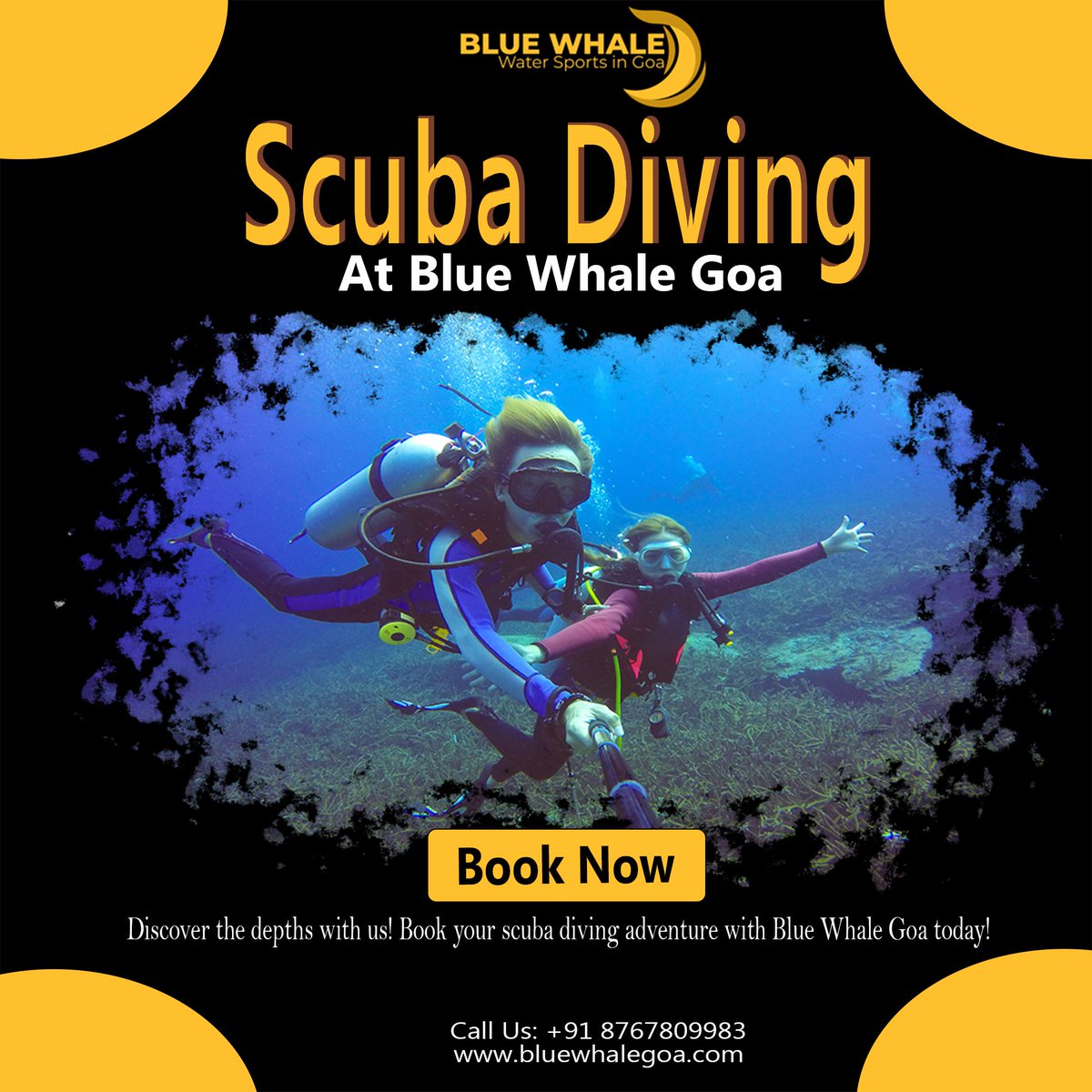 Ready to explore the depths? 🐟 Dive into adventure with Blue Whale Goa! Book your scuba diving experience today and discover a whole new world beneath the waves. For bookings, contact us at:
📞 Mob: +91 8767809983
🌐 Web: buff.ly/3JHWGpI #ScubaDiving #AdventureAwaits