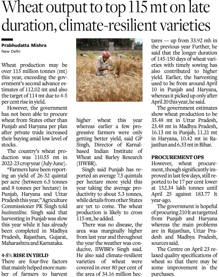 Wheat output to top 115  million tones @IcarIiwbr @icarindia @dare_goi @BISA__India @CIMMYT #wheat #farmers @Gysingh5 @directoriiwbr #government