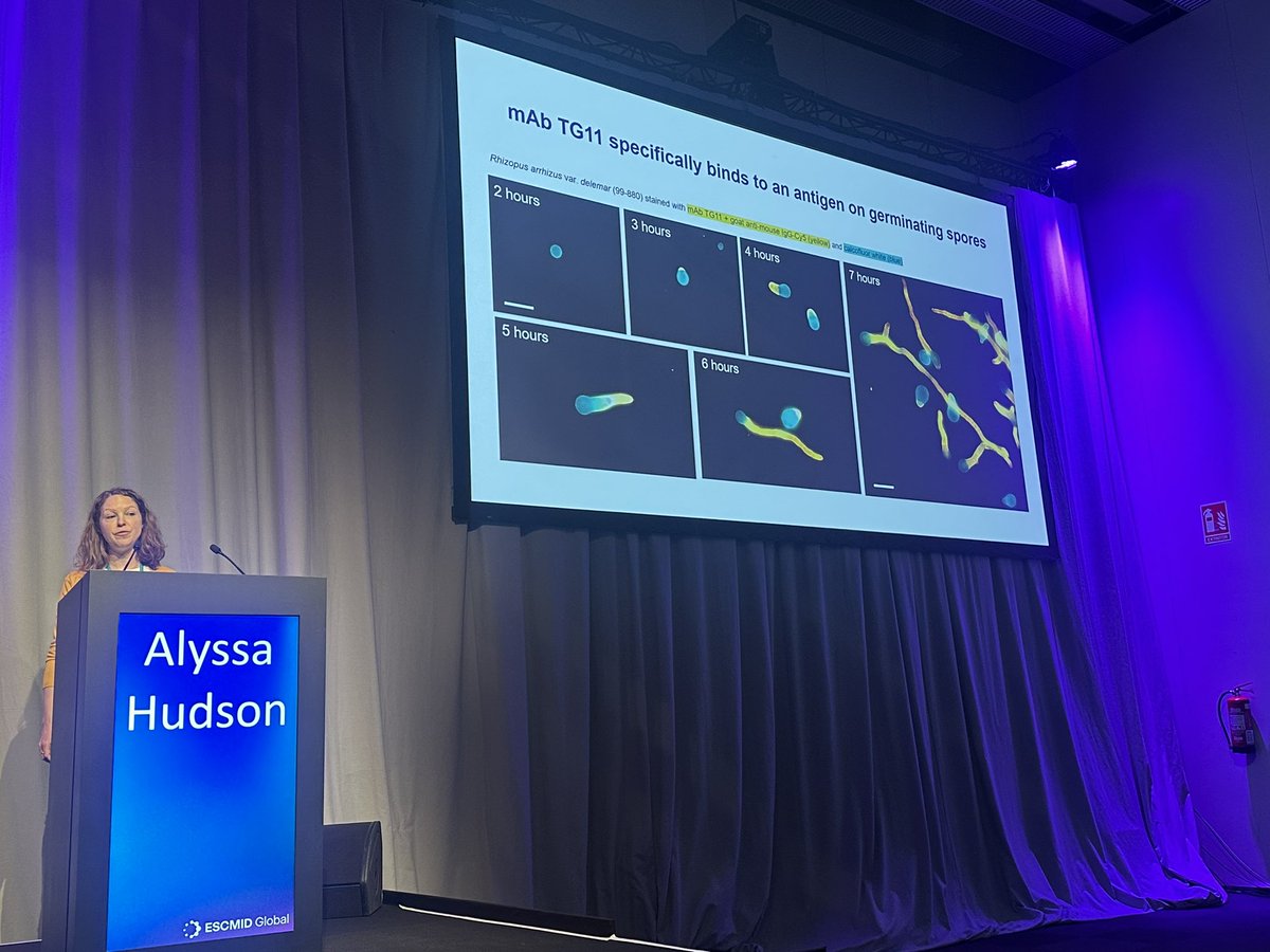 Now at #eccmid2024 New fungal diagnostics 🍄🧪 Starting with a potential new biomarker for mucormycosis which we DESPERATELY need! Fabulous talk from @AlyssaHudson83 of @MRCcmm on TG11 mucor antigen @forestcita @BallouLab @Adilia76645023 #escmidglobal2024