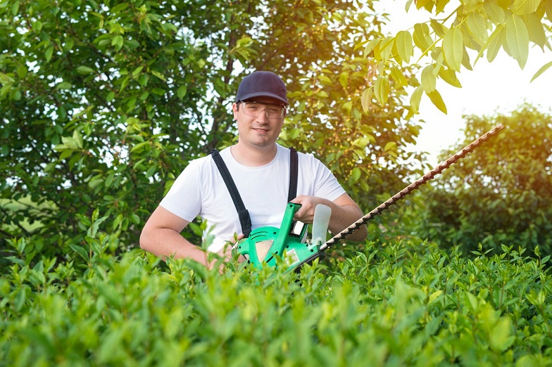 Power tools used for Gardening Power tools can make a big difference. Here are some essential power tools used for gardening that will make your tasks easier and more efficient. Read on: safatcotrading.com/power-tools-us… #powertool #toolforgardening #tool #gardening