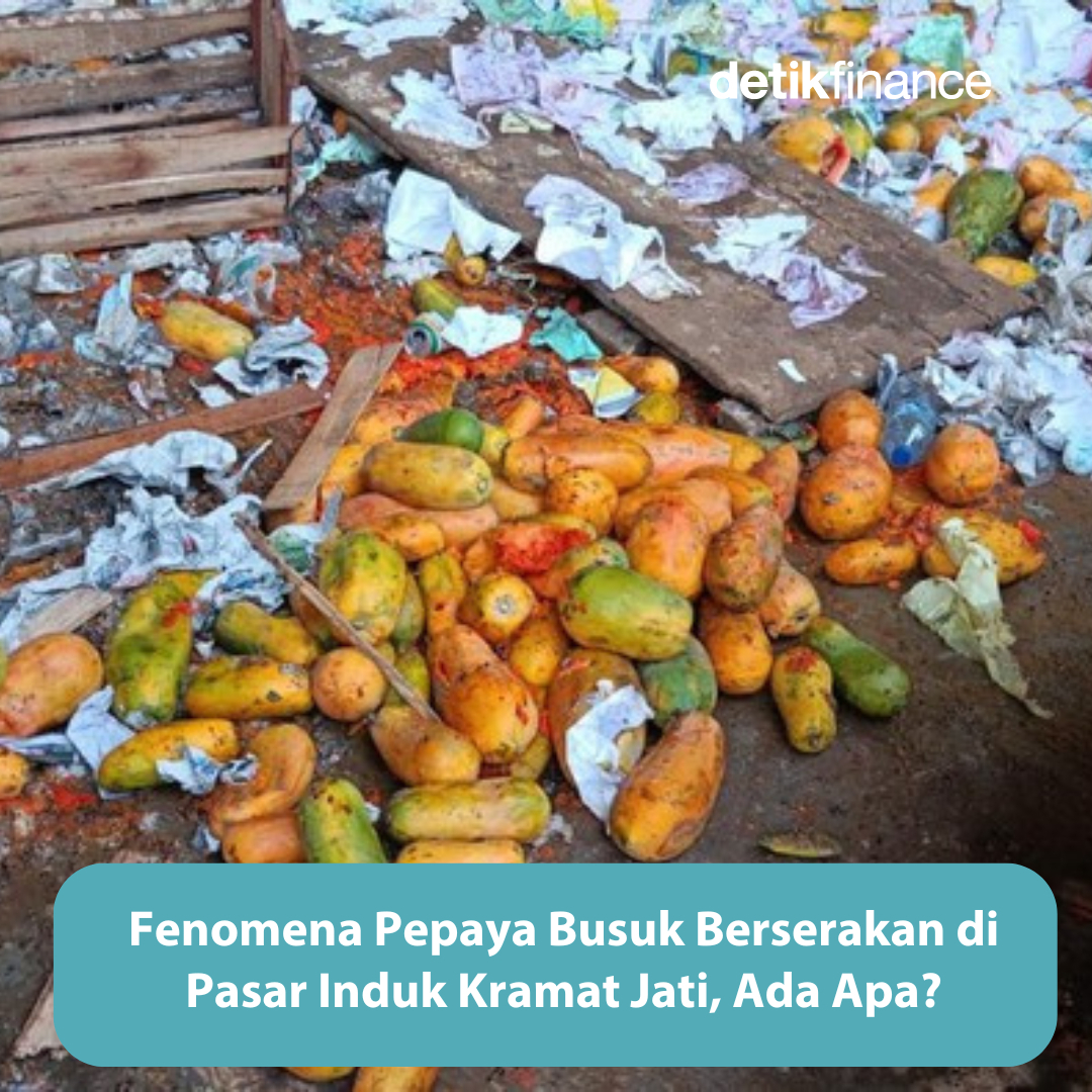 detikfinance's tweet image. Pemandangan tak biasa sempat terjadi di kawasan Pasar Induk Kramat Jati, Jakarta Timur. Puluhan ton pepaya sempat dibuang begitu saja karena tak laku!⁣
⁣
&amp;gt;&amp;gt; dtk.id/Nw71eT
⁣
#kramatjati #pepaya #fenomena #jakartatimur