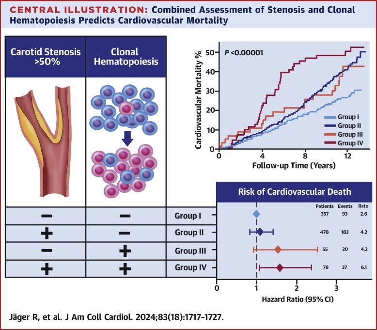Happy to share our new paper published in @JACCJournals on the Combined Effects of Clonal Hematopoiesis and Carotid Stenosis on Cardiovascular Mortality. sciencedirect.com/science/articl…
