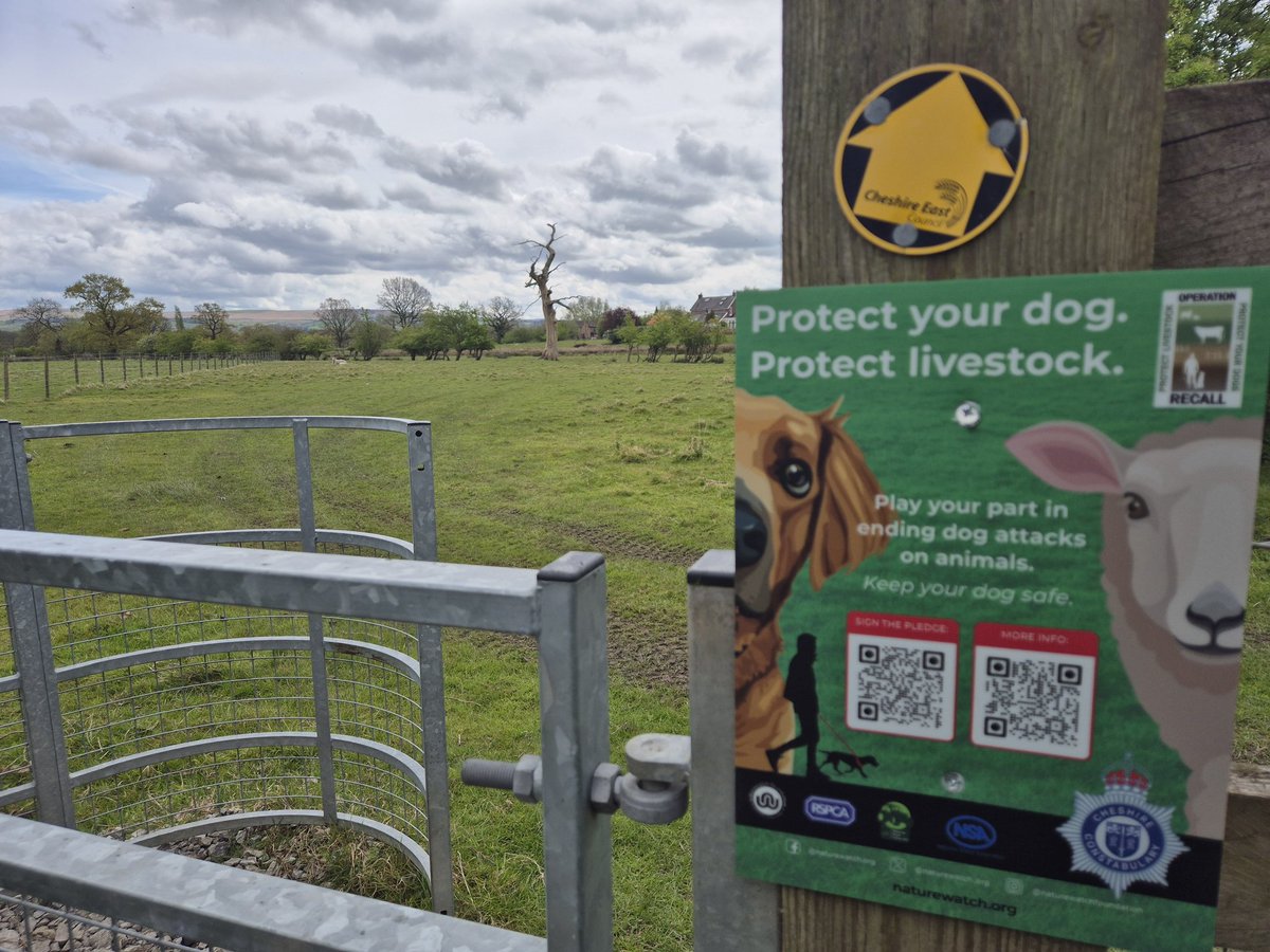 OP RECALL Yesterday I took a break from the 2 livestock attack case files I was building to place some signage in an area where yet another livestock attack occurred on Sunday! KEEP YOUR DOGS UNDER CONTROL, please. @OPRECALL @Naturewatch_org @RSPCA_official #oprecall #livestock