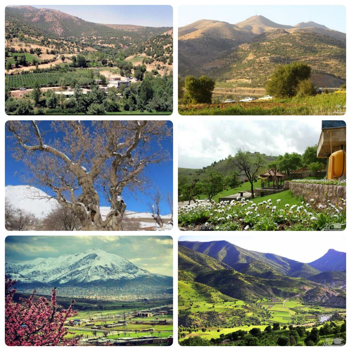 سفری به دنیای رویا در بانه
در حقیقت بانه است و هزار توی طبیعت، هزار تویی که دشت‌ها و باغ‌های چشم نوازی برای سفر دارد که همه را محو جاهای ناب و بکر خود می‌کند.
#شاری_آربابا
#کردستان_زیبا