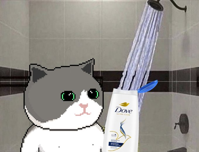 DegenSimba tweet media