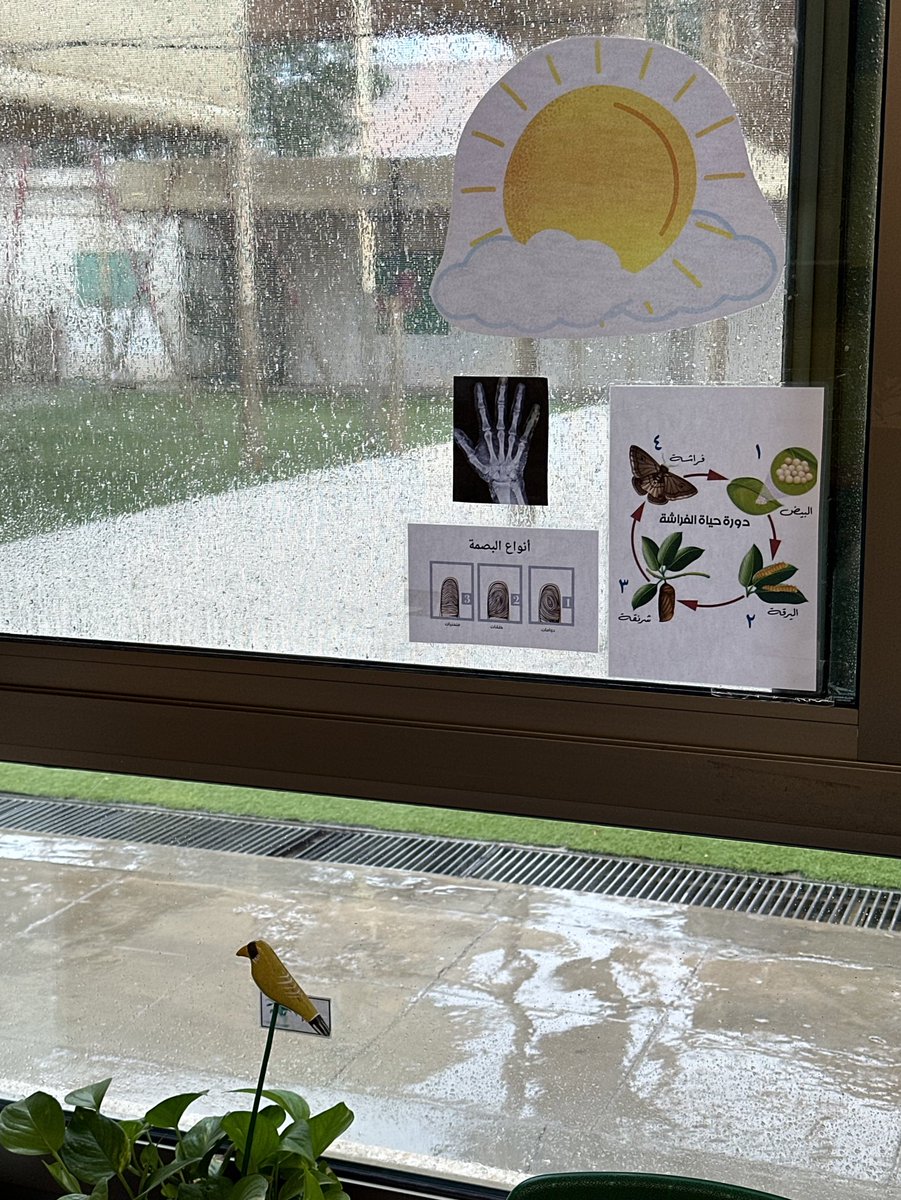 xhalax307's tweet photo. مطر على نافذة الصف🤍🌧️🌧️🥺 https://t.co/YTRAevmwop