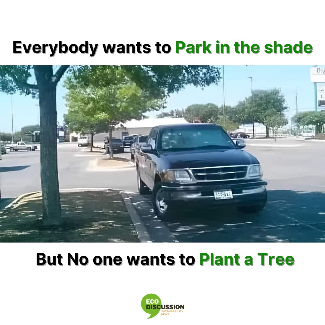 A reminder that, #PlantingTrees is vital for combating #ClimateChange, purifying the #air we #breathe, and preserving #biodiversity for future generations.

#airpollution #climatechange #ecosystem #explore #urbanareas #trees #ruralareas #ecodiscussion