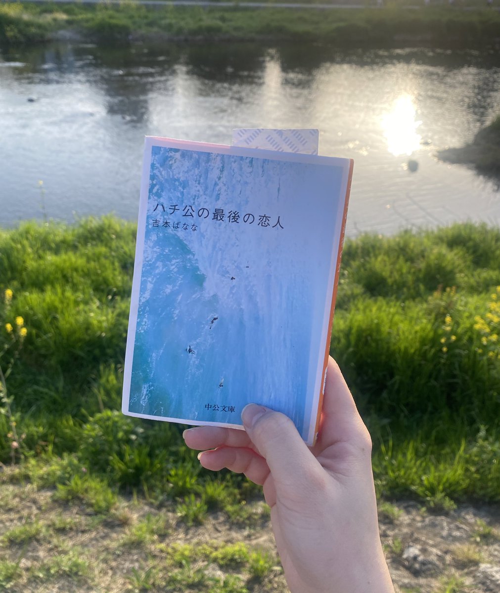 mkfujimura_'s tweet photo. https://t.co/fNZHY5qiW8