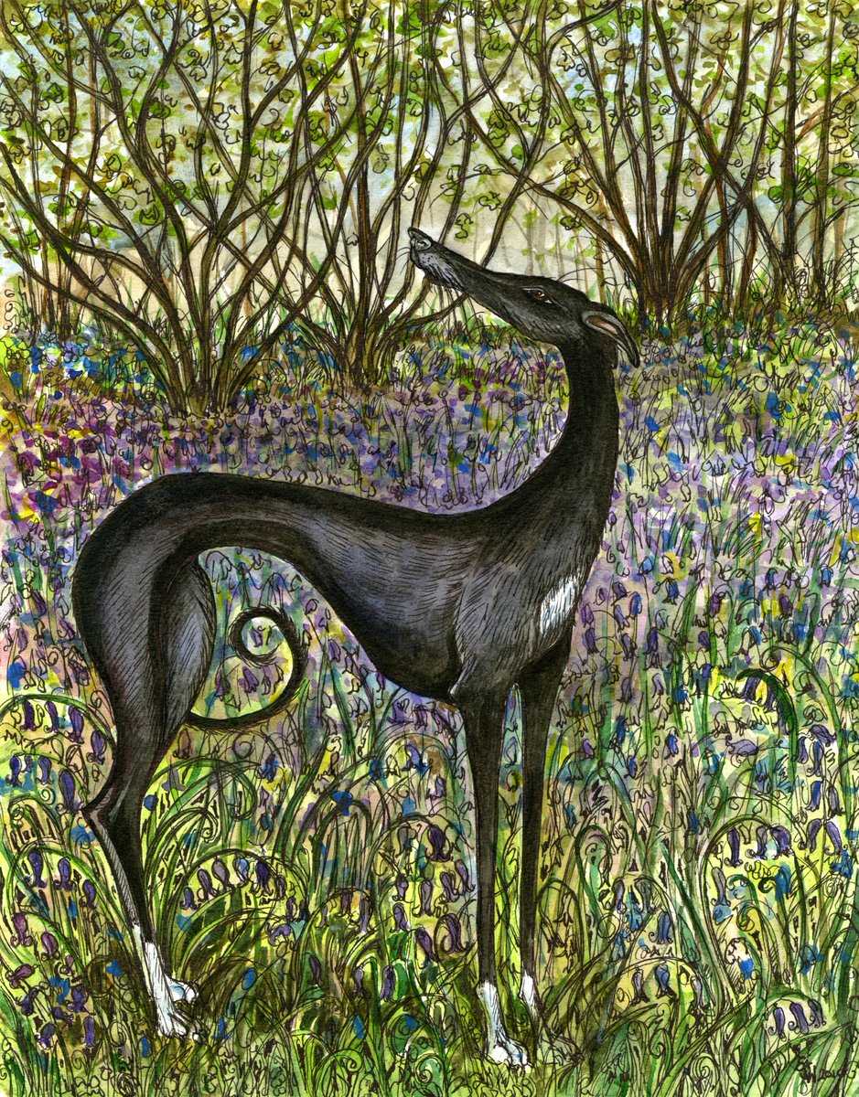 A Sense of Spring. One of my old seasonal Greyhound favourites.