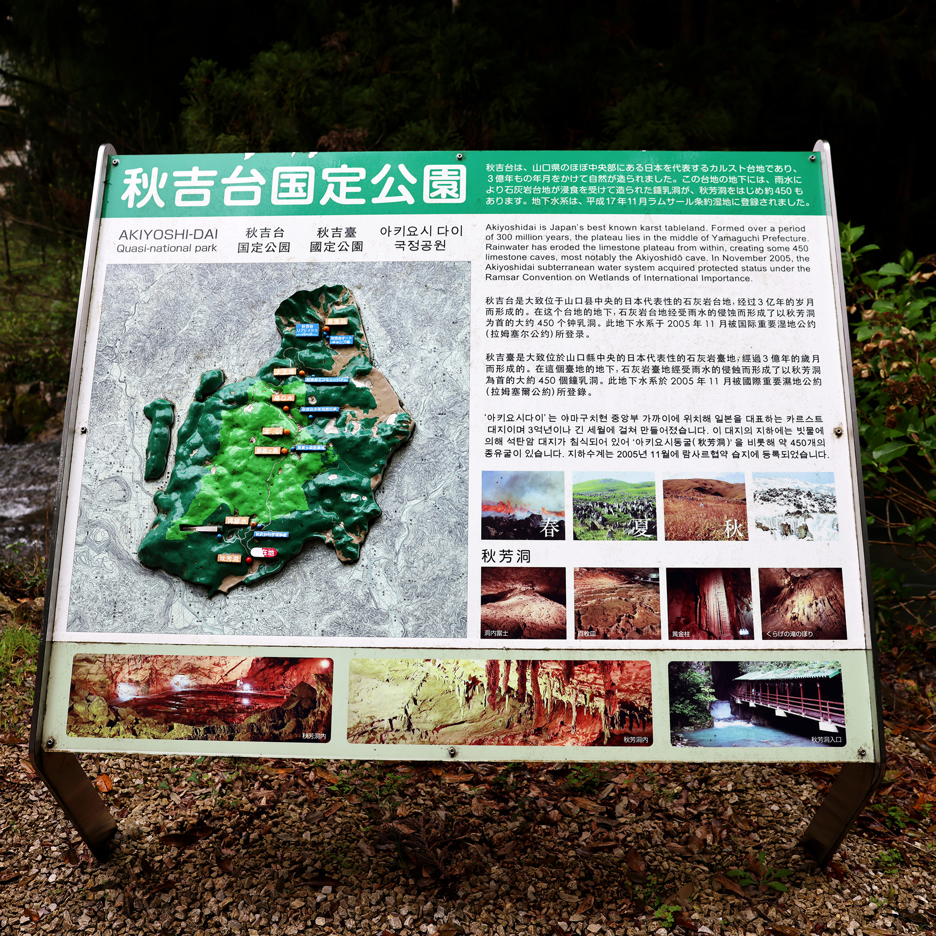 秋吉台 / 美祢市