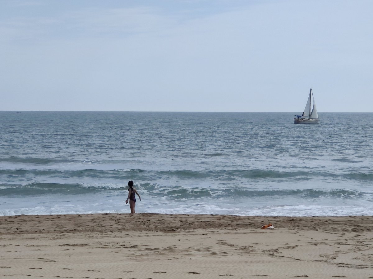 Mi Mediterráneo reciente. «Llévame libre y salvaje, llévame hasta el mar» Manolo Tena 🎼youtu.be/dcqy4Q5xZzA?si… 📸 @mrodriguezarn (El meu Mediterrani)