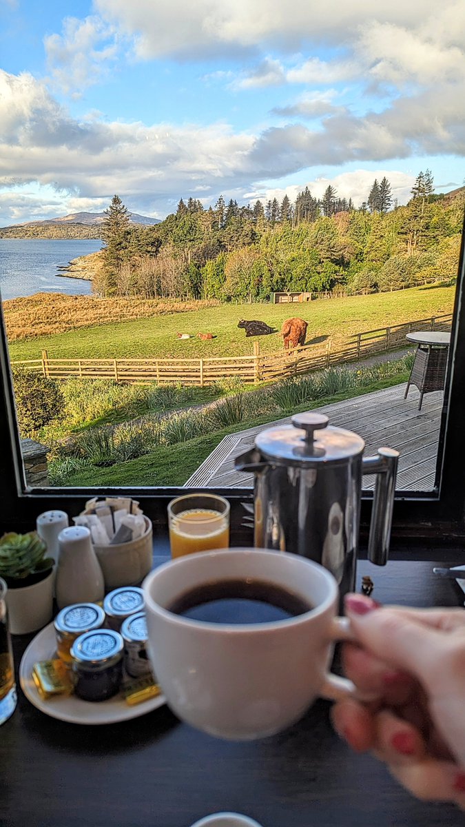 Morning Coffee and Coos!

Happy ‘#Coosday’ everyone! 🐄
@VisitScotland