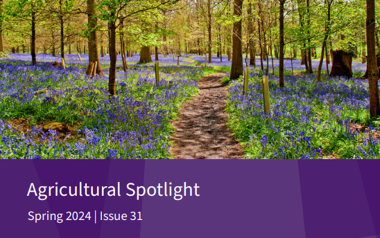 WhitleyStimpson's tweet photo. Our Spring Agricultural Spotlight has now been released, to keep you up to speed on the latest news &amp; advice on the farming &amp; agri business sector’s current hot topics.

To read the full newsletter click here ⬇️
https://t.co/pFdolm90xR

#springspotlight #farming #agriculture https://t.co/p66gSxsAtx