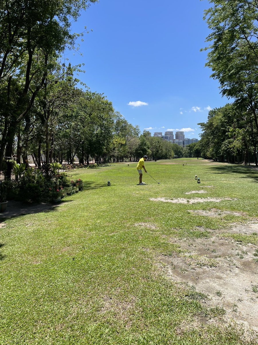 Red market? 📉
Sad vibes. 😵‍💫
Play golf. ⛳️
Good vibes. ☀️