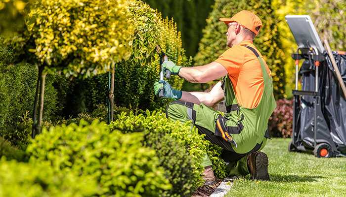 Maintaining Your Landscape Year Round

#landscapemaintenance #SeasonalCare #garderns #torontolandscaping #plantcare #OutdoorOasis #landscapingtips #strategicplanning #secludedspace #ambiance #outdoorlighting #VisualAppeal #creativelighting @BHG @Forbes

tycoonstory.com/maintaining-yo…