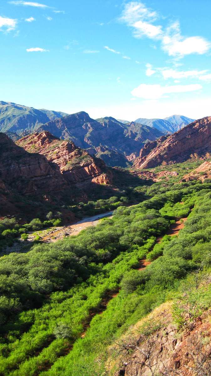 Salta in Northern Argentina is surrounded by lush forests on one side and what is referred to as the Mini Grand Canyon in the other. Great place for horse riding and drinking wine, it's also the gateway to the Andes #photography #travel #nature #photography #naturephotography…