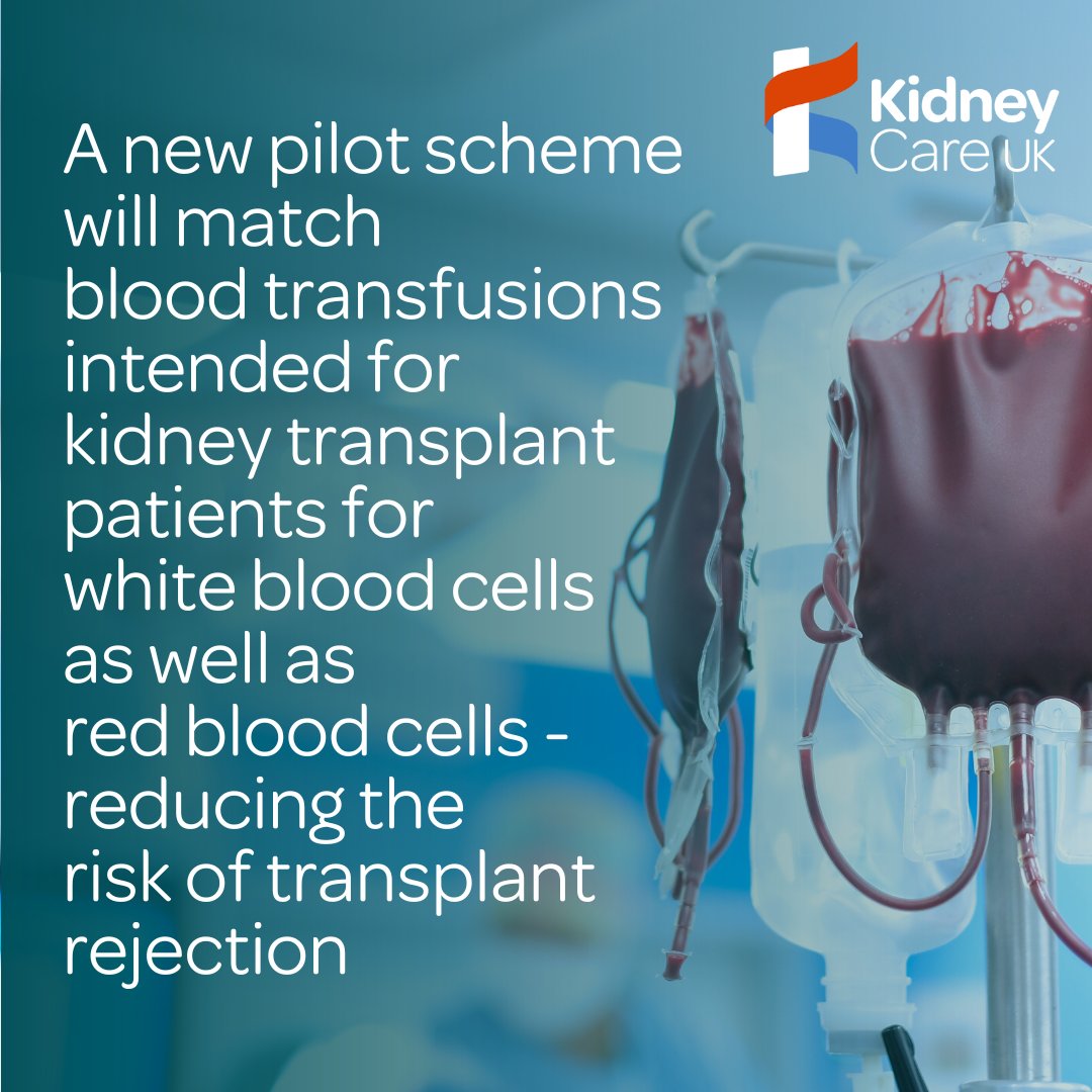🩸 #KidneyTransplant patients are to get blood matched for white blood cells, with the intention of reducing #Kidney #TransplantRejection: kidneycareuk.org/news-from-kidn… 📣 The wait for kidney transplants is at a 10yr high & if the pilot is successful, it could cut #WaitingList times.
