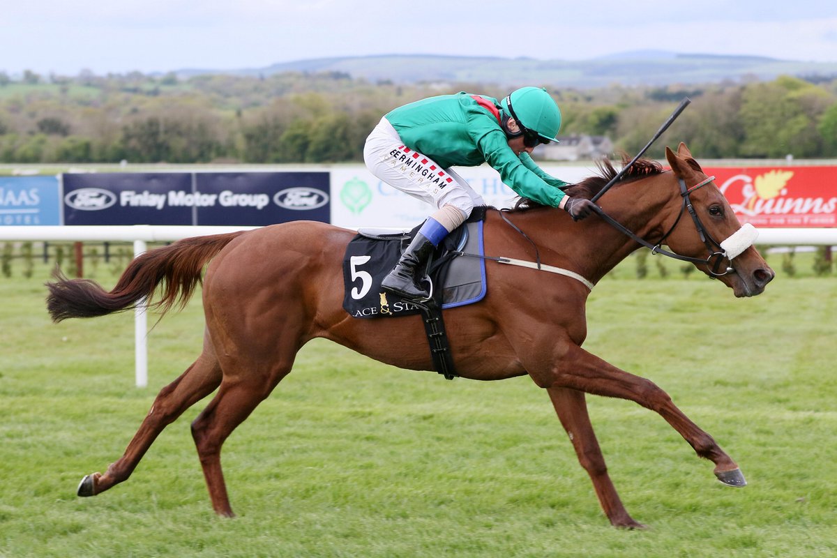 🥇 #Hasna broke her maiden by 2 lengths yesterday evening @NaasRacecourse. By Sea The Moon, she is the second foal out of #Hasimiyya, making her closely related to Harzand and Emily Upjohn. This is also the family of Big Rock and Hurricane Lane.