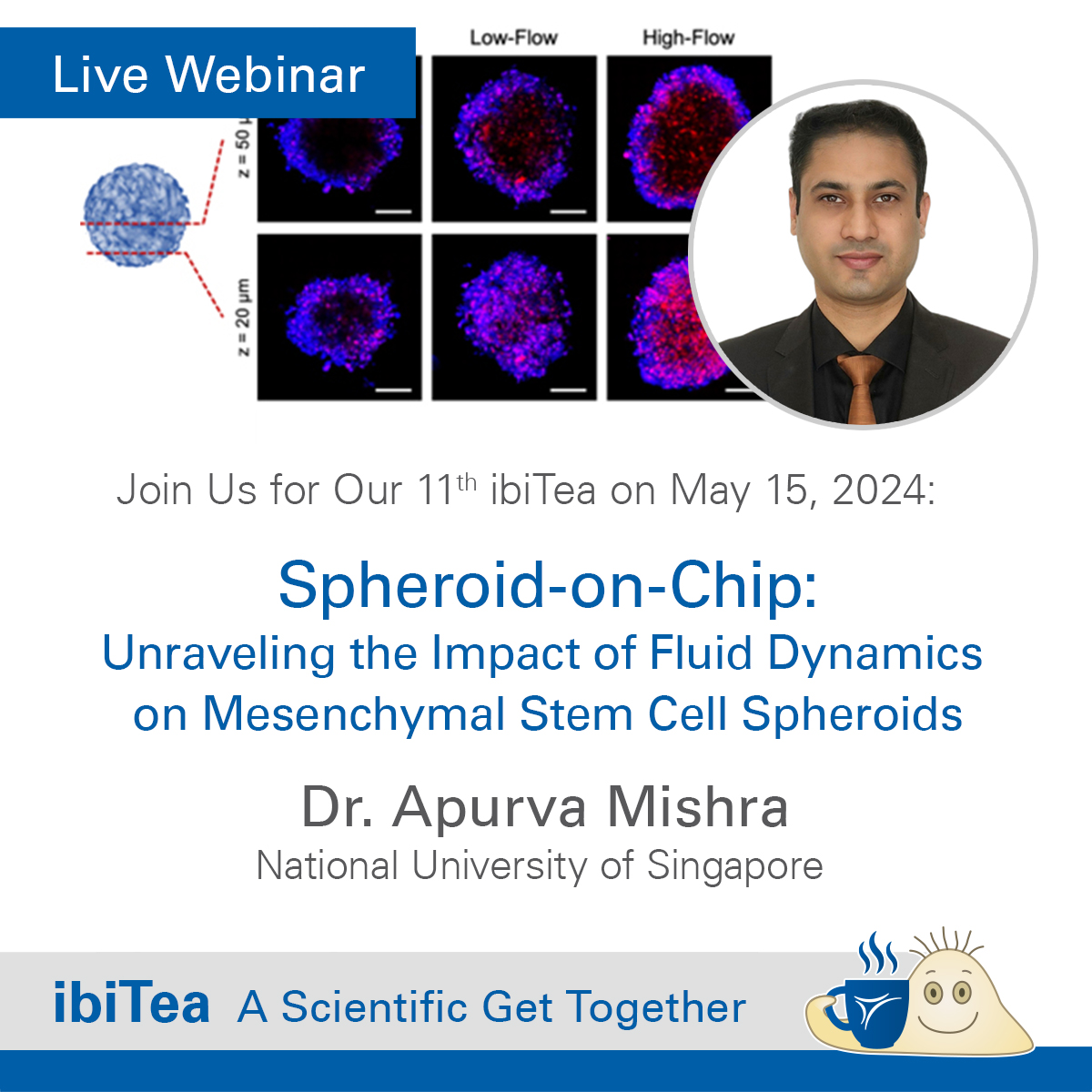 💻Don't miss our 11th ibiTea webinar by Dr. Apurva Mishra, Faculty of Dentistry, @NUSingapore 

🗓️Save the date: May 15, 2024 Time: 10 am 

🔗zurl.co/GrVy

#ibiTea #Webinar #StemCell #innovation #Microfluidics #technology #SpheroidOnChip  #Bioengineering #Biomaterials