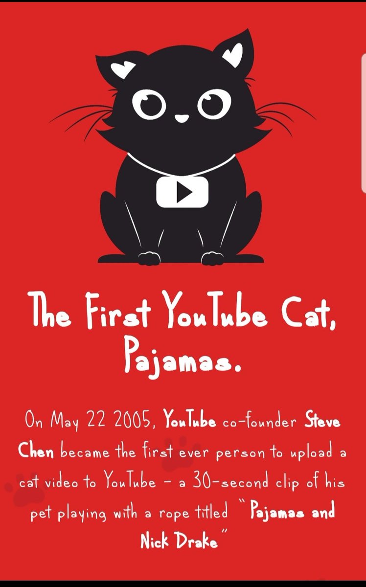 NFTCryptoAngel's tweet photo. #PAJAMAS, the Solana Token backed by @YouTube's trailblazing feline star! 🐾 Dive into the #PajamasMafia and seize your chance to ride alongside the #FirstYoutubeCat towards the coveted milestone of $1! 🐱💸 be part of the journey to become the #FirstCatToaDollar! https://t.co/TgRC2eT4yA