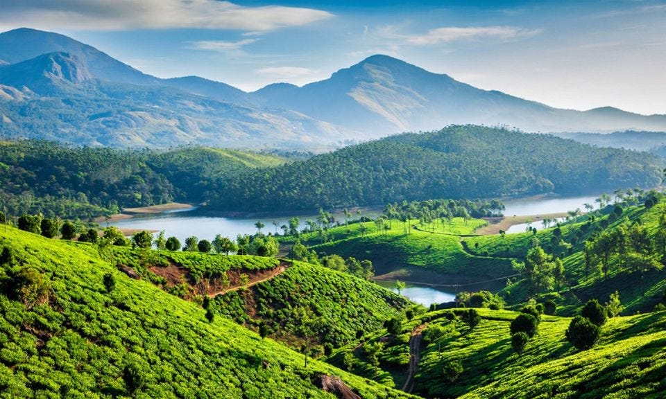 🧵on Western ghat Forest Restoration Project

(1/7) In this thread 
⛰️ Significance of Western Ghats 
⛰️ Problem faced by Western Ghats
⛰️ Restoration and sustainable practices 

#Westernghats #ClimateChange #Ecologicalrestoration
